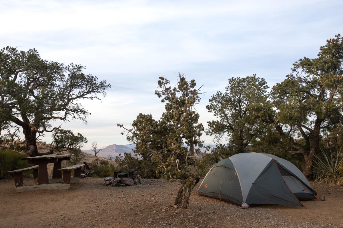 The Best Campgrounds in the Mojave Desert How To Choose The Right Financial Advisor